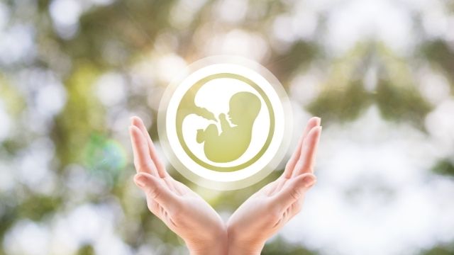 embryo donation in pune